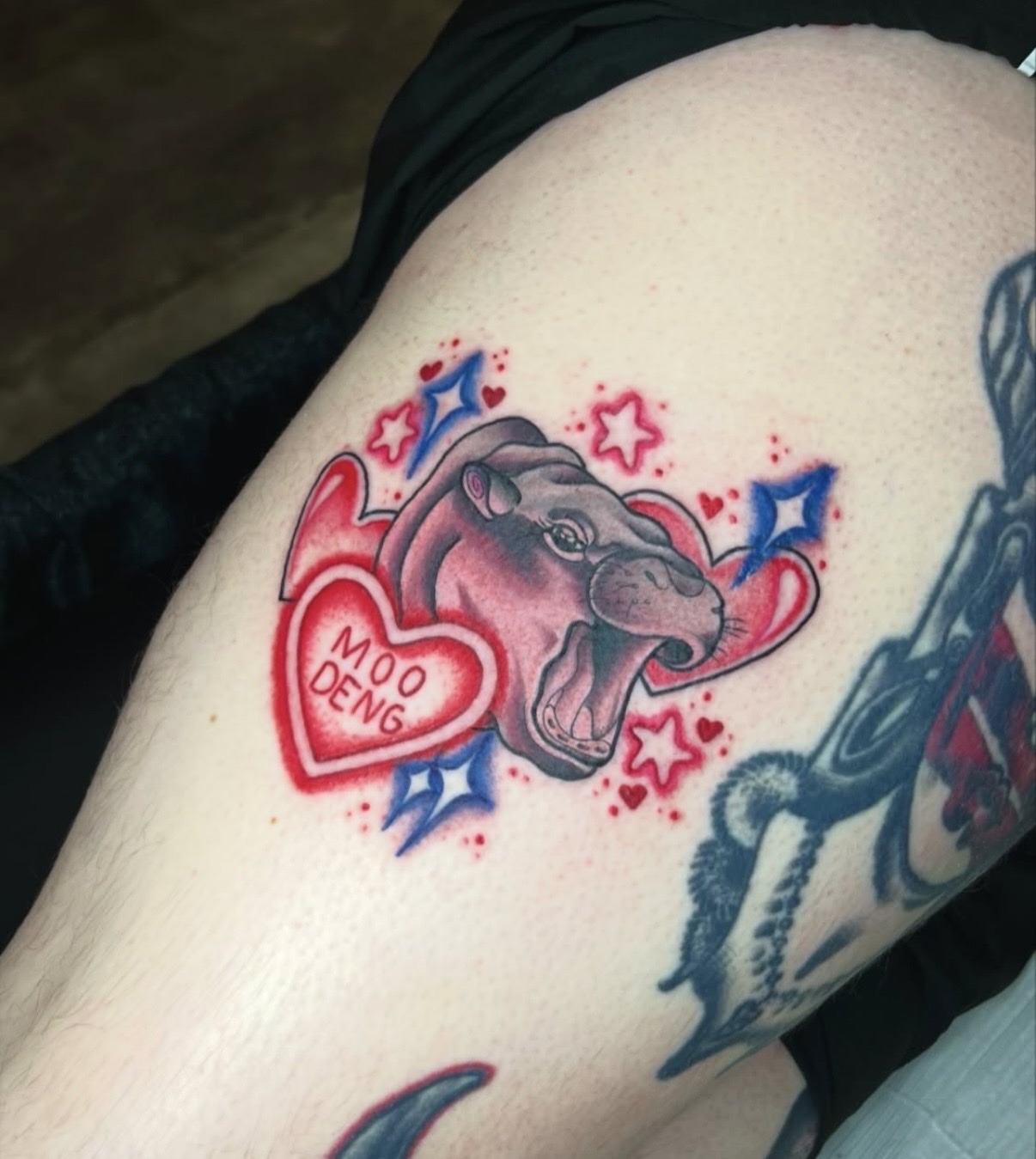 Kaylee McGilbery work 2