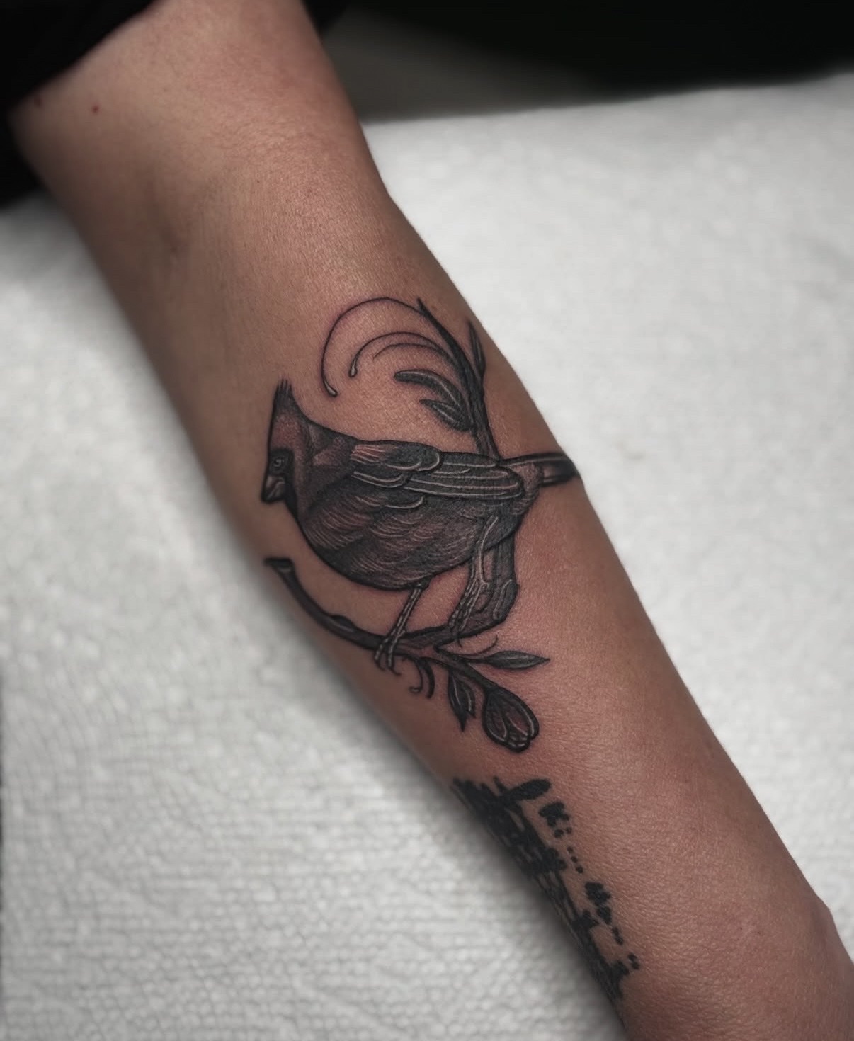 Kaylee McGilbery work 4