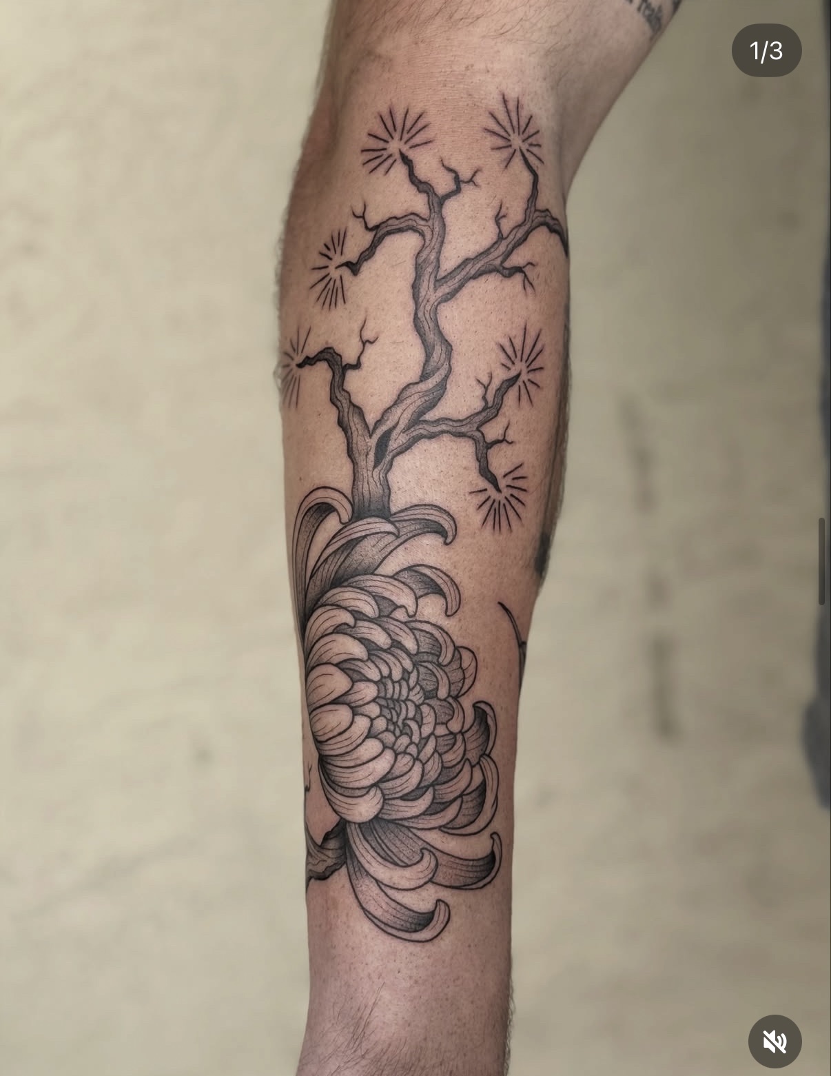 Truett Payton work 6